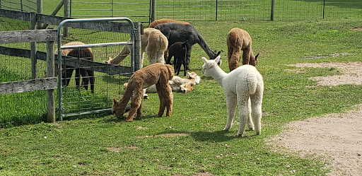 Boutique «Crystal Lake Alpaca Farm and Boutique», reviews and photos, 4907 River Rd, Frankfort, MI 49635, USA