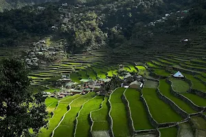 Batad Rice Terraces image