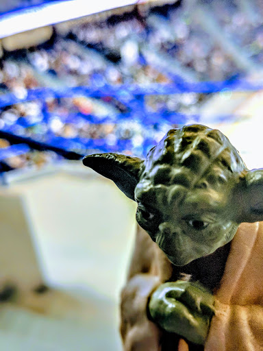 Event Venue «XL Center», reviews and photos, 1 Civic Center Plaza, Hartford, CT 06103, USA