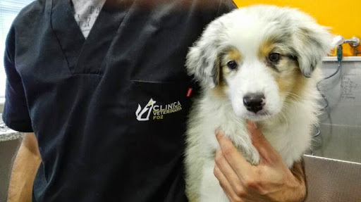 Clínica Veterinaria Foz en Foz