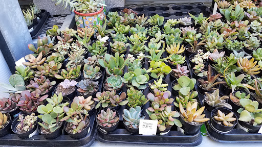 Home Improvement Store «The Home Depot», reviews and photos, 11939 San Pablo Ave, El Cerrito, CA 94530, USA