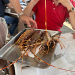 Photo n°6 de l'avis de Alice. fait le 19/06/2023 à 11:04 sur le  Simpaty à Palermo