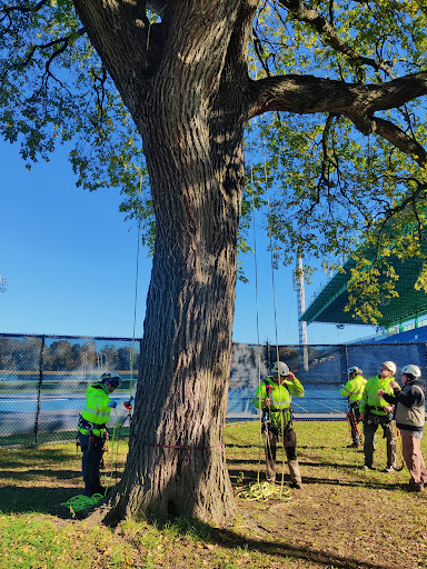 Stadium «Icahn Stadium», reviews and photos, 20 Randalls Island, New York, NY 10035, USA