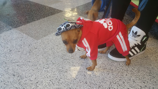 Pet Supply Store «Petco», reviews and photos, 3735 E Castro Valley Blvd, Castro Valley, CA 94552, USA