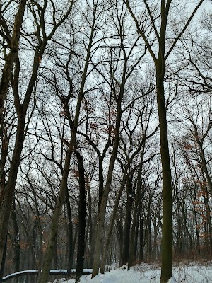 Northwest Park - photo 54