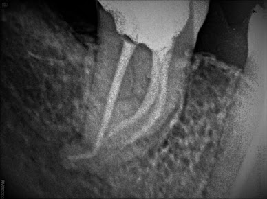 Navodaya Dental Clinic - Navodaya Dental Clinic