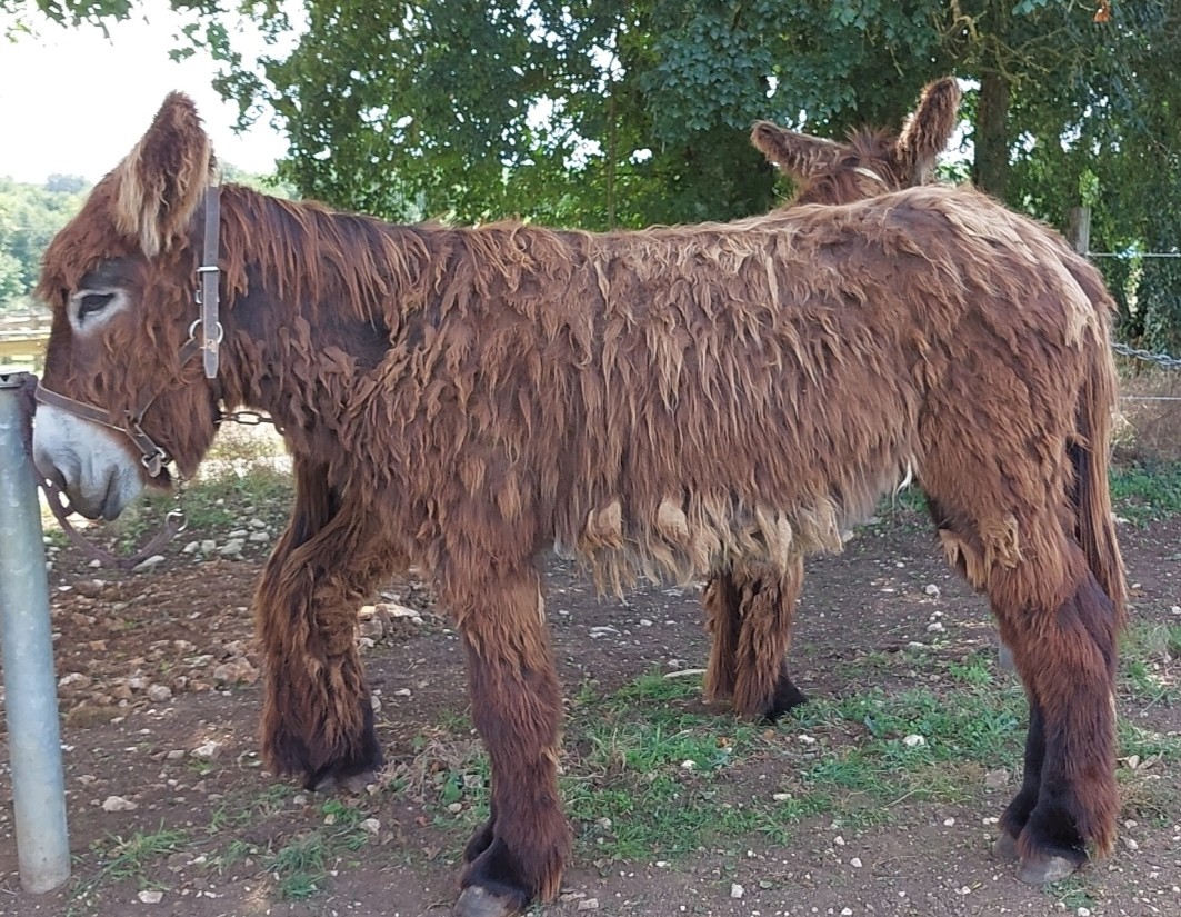 Photo n° 8 de l'avis de Sylvie.A fait le 12/09/2021 à 14:54