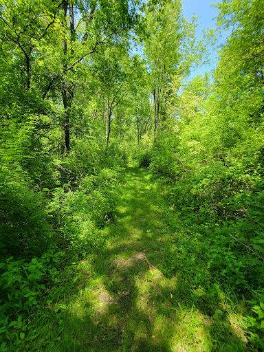 Nature Preserve «Lost Lake Nature Preserve», reviews and photos, Evans Rd, Holly, MI 48442, USA