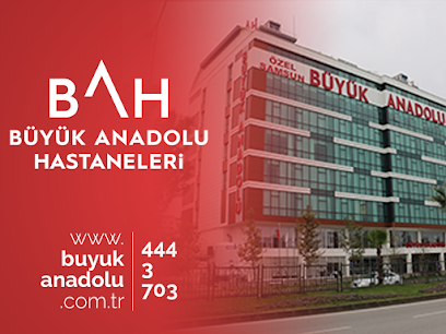 Büyük Anadolu Samsun Meydan Hastanesi