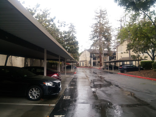 Spruce Apartments image