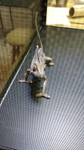 Pet Supply Store «Pet Den», reviews and photos, 1209 Nederland Ave, Nederland, TX 77627, USA