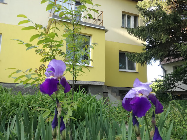 Стаи за гости "Дом Градина Вита" - Хотел