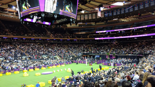 Arena «Madison Square Garden», reviews and photos, 4 Pennsylvania Plaza, New York, NY 10001, USA