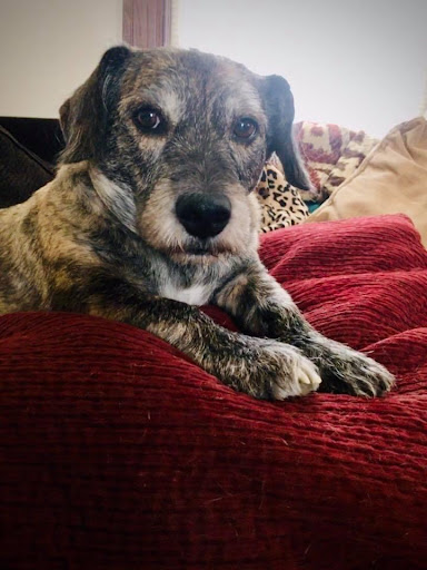 11420 Anthony Hwy, Waynesboro, PA 17268, USA