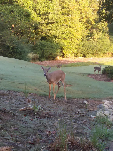Golf Club «Trophy Club of Atlanta», reviews and photos, 15135 Hopewell Rd, Alpharetta, GA 30004, USA