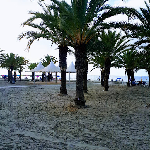 Santa Pola Casa del Mar Consultorio en Santa Pola, Alicante