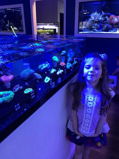 Tropical Fish Store «Classic City Aquariums», reviews and photos, 1260 Mars Hill Rd, Watkinsville, GA 30677, USA