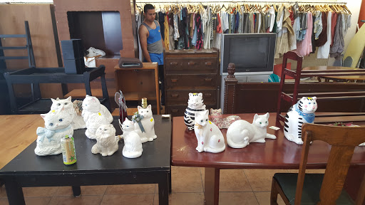 Thrift Store «Goodwill - Santa Monica», reviews and photos