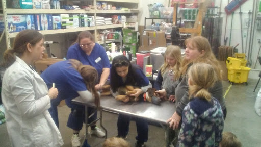 Pet Supply Store «Pet Supplies Plus», reviews and photos, 2982 S Illinois 83, Mundelein, IL 60060, USA