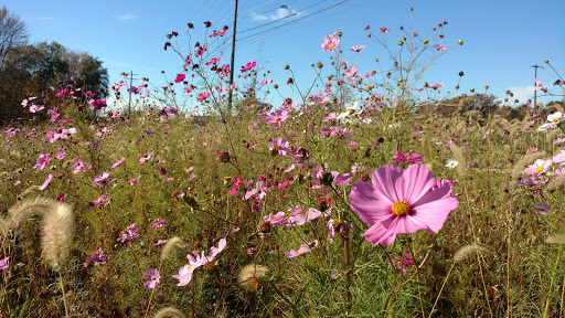Community Center «Prairie Township Community Center», reviews and photos, 5955 W Broad St, Galloway, OH 43119, USA