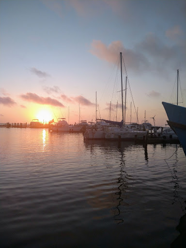 Seafood Market «Fulton Harbor Bait & Seafood», reviews and photos, 250 Deforest Loop, Fulton, TX 78358, USA