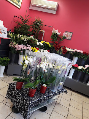 Le paradis des fleurs à Vélizy-Villacoublay