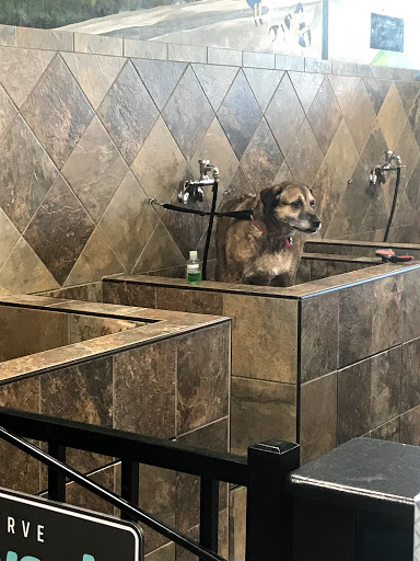 Pet Supply Store «Pet Supermarket, Inc.», reviews and photos, 1052 Peachtree Industrial Blvd, Suwanee, GA 30024, USA