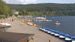 Titisee Strand'in fotoğrafı geniş bir kıyı şeridi ile birlikte