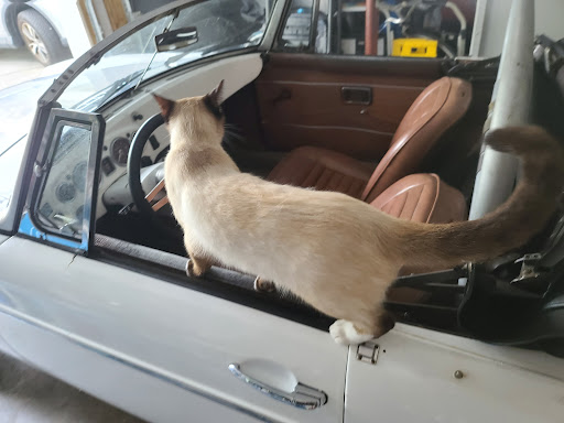 Check Cashing Service «Cash America Pawn», reviews and photos, 1530 S Missouri Ave, Clearwater, FL 33756, USA