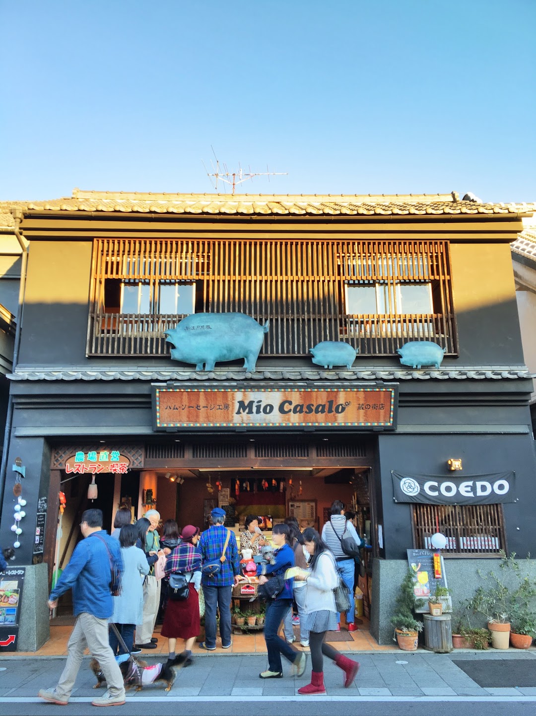 Mio Casalo 川越 蔵のまち店