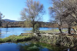 Lago di Posta Fibreno image