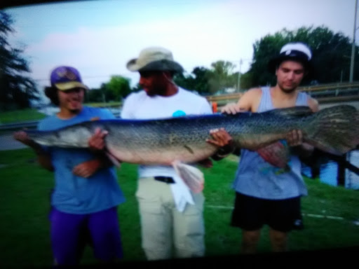 Drive-in Movie Theater «Elm Road Triple Drive-In Theatre», reviews and photos, 1895 Elm Rd NE, Warren, OH 44483, USA