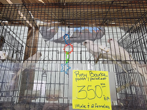 Pet Supply Store «Garicas Feed & Pet», reviews and photos, 3143 Niles St, Bakersfield, CA 93306, USA