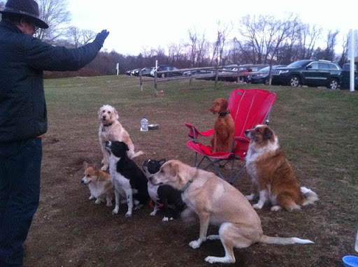 Banquet Hall «Chateau at Coindre Hall», reviews and photos, 101 Browns Rd, Huntington, NY 11743, USA