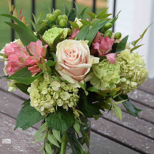 Florist «Park Florist», reviews and photos, 6921 Laurel Ave, Takoma Park, MD 20912, USA