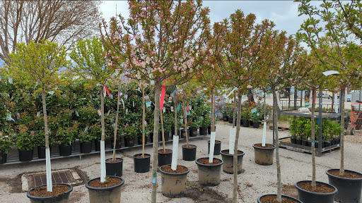 Plant Nursery «Rockin E Country Store», reviews and photos, 1201 W 500 S, Woods Cross, UT 84087, USA