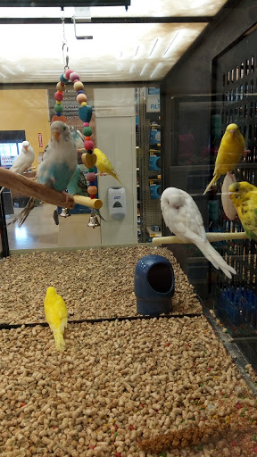 Pet Supply Store «PetSmart», reviews and photos, 104 Andover St, Danvers, MA 01923, USA