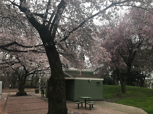 Park «Couch City Park», reviews and photos, 1961 NW Glisan St, Portland, OR 97209, USA