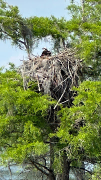 Cestaro Vincent J & Son - Photo 1 - Car repair in Newburgh, NY, Poughkeepsie