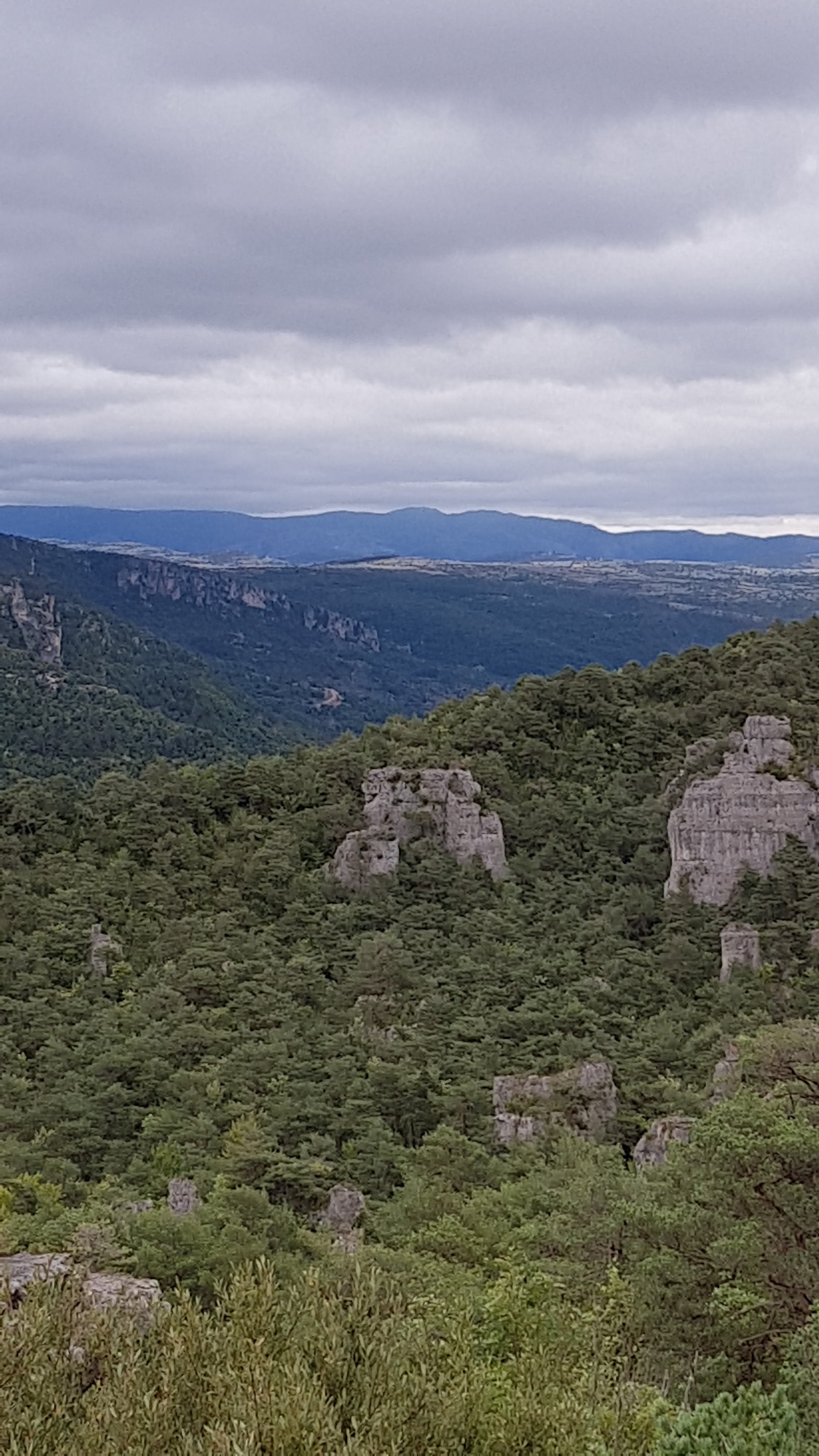 Photo n° 2 de l'avis de Corinne.i fait le 06/10/2019 à 16:11
