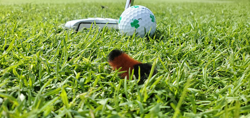 Golf Course «Pine View Golf Club», reviews and photos, Pulver Rd, Three Rivers, MI 49093, USA