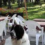 Photo n°1 de l'avis de elisabetta.h fait le 30/08/2018 à 19:31 sur le  Ristorante La Grandze à Val Ferret, Courmayeur