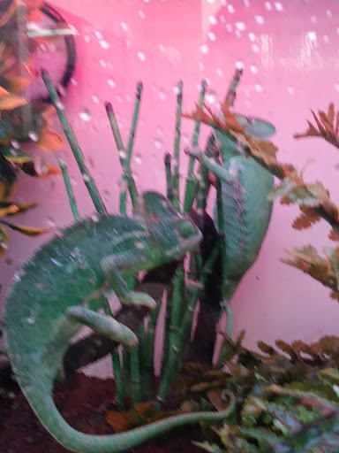 Pet Supply Store «Pet Supplies Plus», reviews and photos, 101 Sutton Ave, Oxford, MA 01540, USA