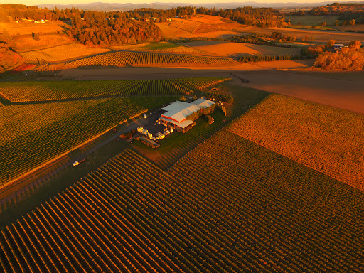 Winery «Methven Family Wines», reviews and photos, 11400 SE Westland Ln, Dayton, OR 97114, USA