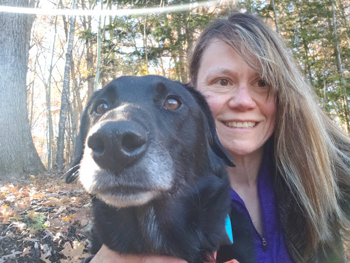 Nature Preserve «Wolf Rock Nature Preserve», reviews and photos, 251 Clover Mill Rd, Storrs, CT 06268, USA