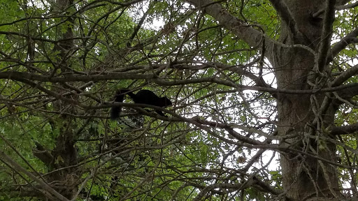 Public Golf Course «Meadowbrook Golf Course», reviews and photos, 3429 Madison Ave, Anderson, IN 46013, USA