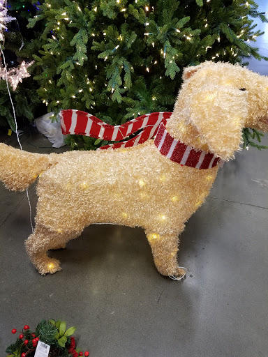 Home Improvement Store «The Home Depot», reviews and photos, 1175 Admiral Callaghan Ln, Vallejo, CA 94591, USA