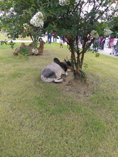 Community Center «Hickory Hill Community Center», reviews and photos, 3910 Ridgeway Rd, Memphis, TN 38115, USA