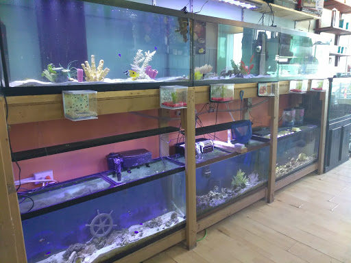 Pet Store «Off The Hook Exotics Pet Shop», reviews and photos, 926 5th Ave, Coraopolis, PA 15108, USA