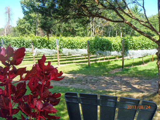 Vineyard «Nickle Creek Vineyard», reviews and photos, 12 King Rd, Foster, RI 02825, USA